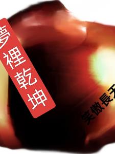 梦里乾坤甚是佳人的意思