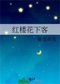 红楼梦电视剧全集