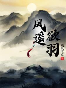 风逍遥万能蜂蜜块