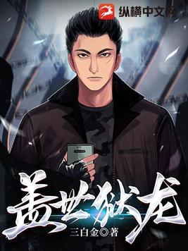 盖世龙帅 小说