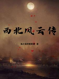 西北风云电视剧在线观看免费观看免费版